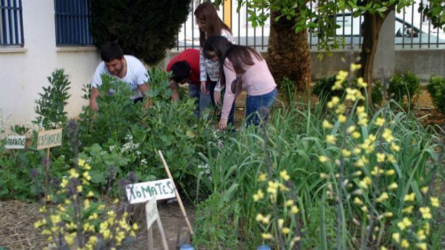 Alumnos del IES Inca Garcilaso de Montilla en el huerto que cuidaba el menor fallecido