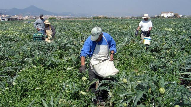 Trabajadores del campo recogiendo la cosecha