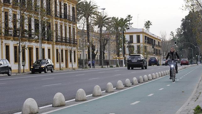 Carril bici de la Avenida de la Borbolla