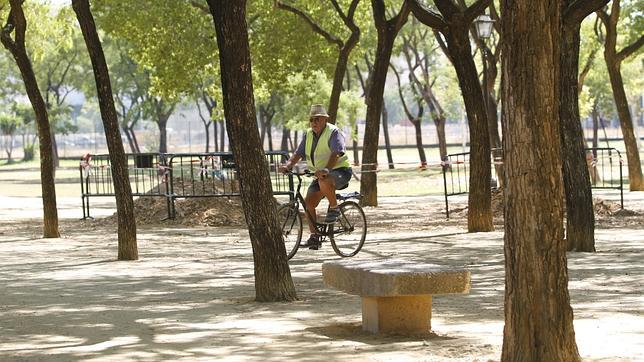 Obras en uno de los paseos del parque Amate