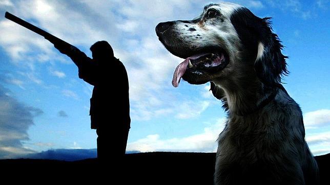 Silueta de un cazador con el primer plano de su perro de presa