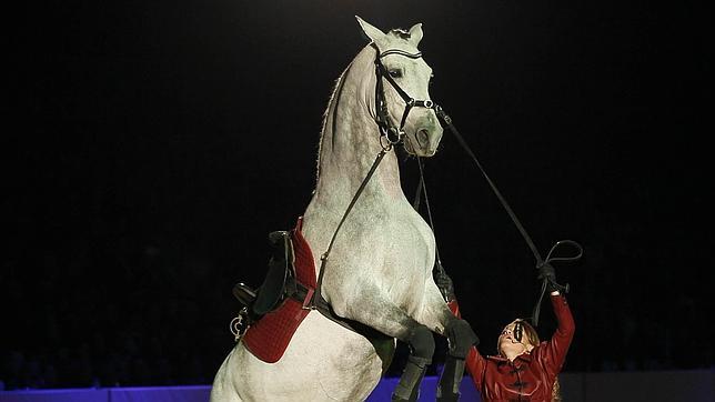 Planes para disfrutar del puente de diciembre 2014 en Sevilla