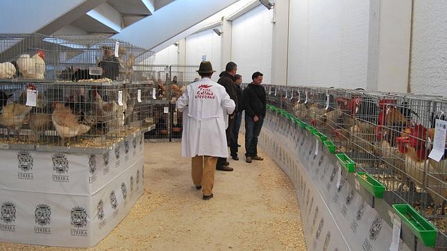 Imagen de la Feria de la Gallina Utrerana