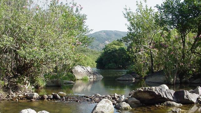 Imagen del Parque Natural de los Alcornocales