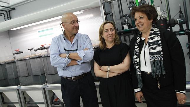 Jos� Carlos Garc�a, Natalia Izquierdo y Carmen Castre�o, en el �rea de investigaci�n del acuario