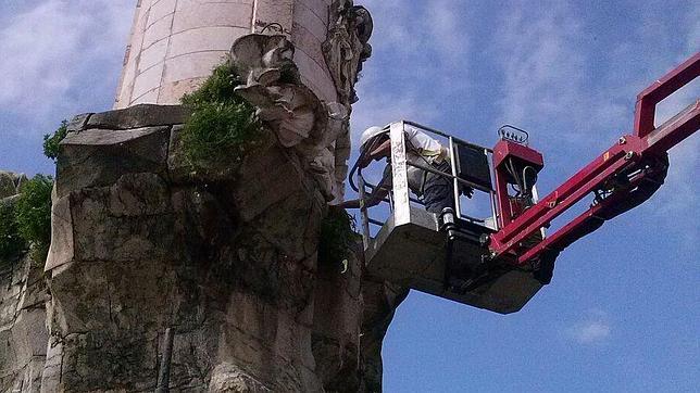 Proceso de eliminaci�n de la vegetaci�n