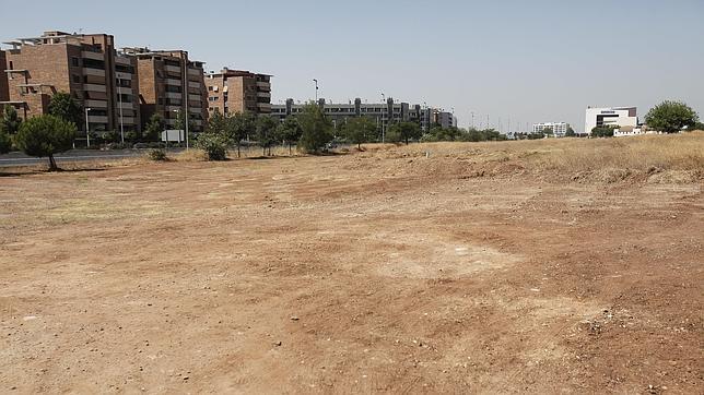 Toma de la parcela del Canal