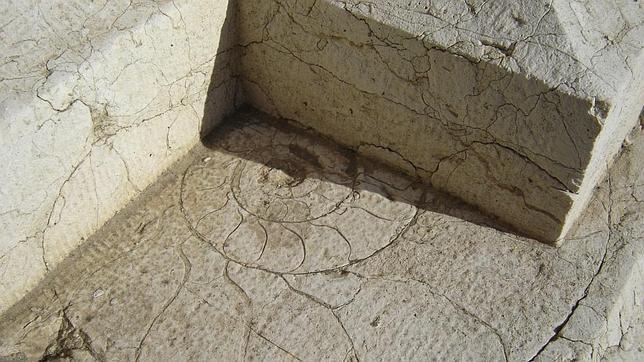 Fósil de ammonite en las calles de Sevilla