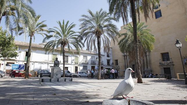 La plaza de San Agust�n se remodelar� por completo a partir en septiembre