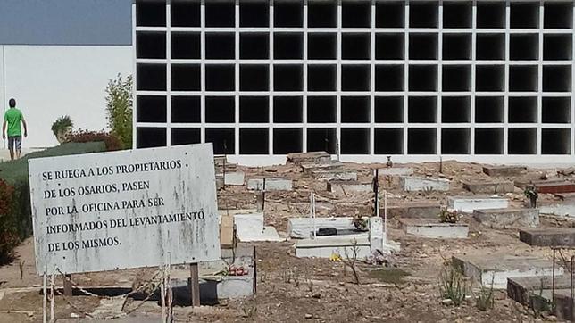 Lugar en el que se encuentra la fosa com�n en el cementerio de Utrera 