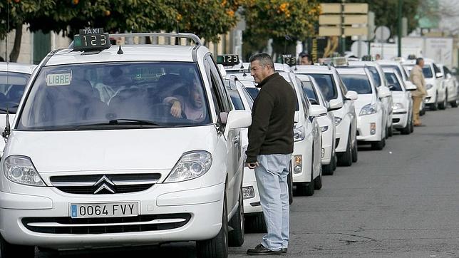 Un grupo de taxis en las calles de Córdoba