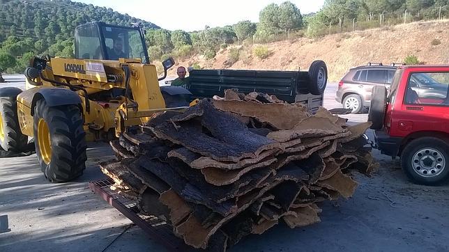 Trabajadores de Coforest, transportando planchas de corcho