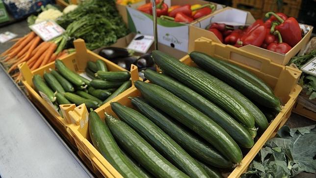 Alerta alimentaria en la UE por unos pepinos �bio� espa�oles contaminados