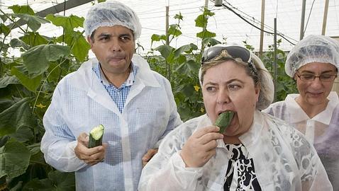 La �crisis del pepino� cuesta a Espa�a 200 millones de euros a la semana