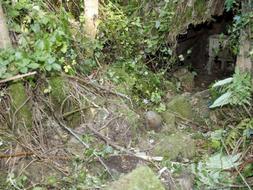 La Guardia Civil localiza un tercer zulo en Getxo con 30 kilos de explosivo y trata de encontrar otro en Urquiola