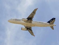 El presidente del Gobierno quiere lanzar �un mensaje de confianza� sobre la aviaci�n espa�ola