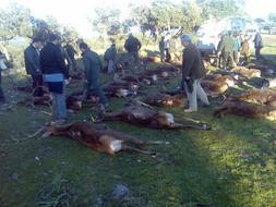 La Comunidad de Madrid pide personarse en la causa despus de Garzn rechazara que lo hiciera el PP