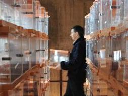 M�s de cuatro millones de votantes deciden el futuro del Pa�s Vasco y Galicia en unos comicios re�idos e inciertos