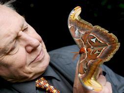 El cient�fico naturalista David Attenborough gana el Pr�ncipe de Asturias de Ciencias Sociales