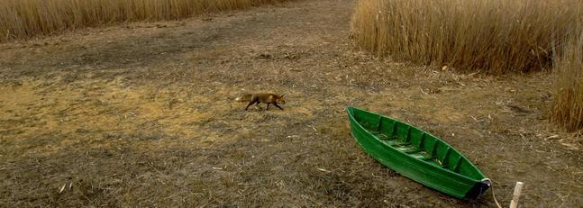Los ecologistas piden una reuni�n urgente para salvar Las Tablas de Daimiel