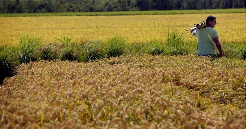 Eduardo Vera: «Sembrar el 100% es ahora posible»