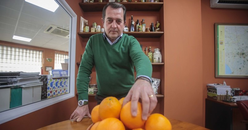 Francisco J. Bernal: «La crisis de los cítricos requiere aplicar la cláusula de salvaguarda»