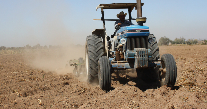 Bruselas eleva oficialmente al 70% los anticipos de pagos directos de la PAC