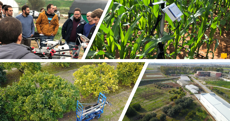 El futuro de la agricultura en tan sólo cuatro hectáreas
