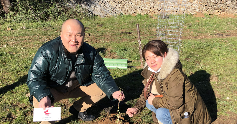 Un grupo de japoneses apadrina la reforestación de la dehesa