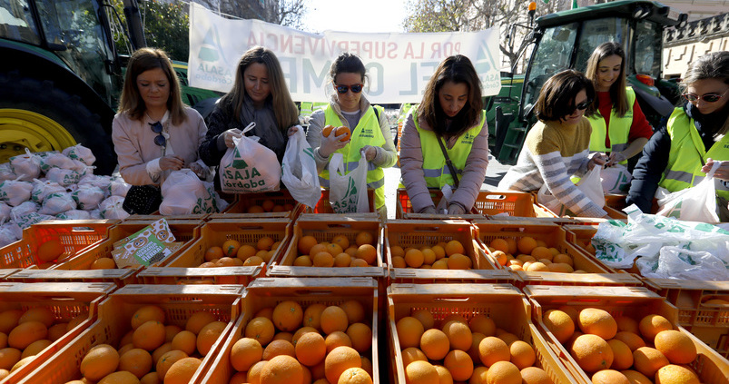 Sudáfrica no es «determinante» en la crisis de los cítricos