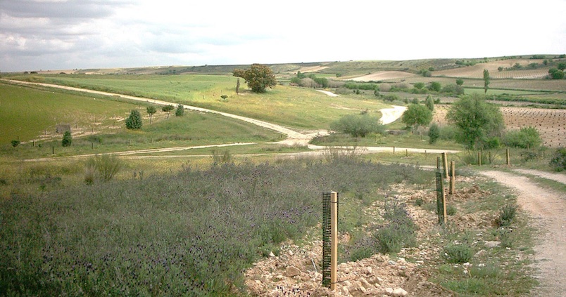 La Ley andaluza de Caminos Públicos, «sin consenso» y «poco precisa»