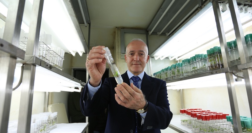 José Enrique Fernández: «Es falso que la agricultura superintensiva sea sinónimo de derroche en los insumos»