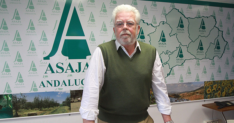 Ricardo Serra: «Los citricultores están saliendo de la peor racha de los últimos 20 años»