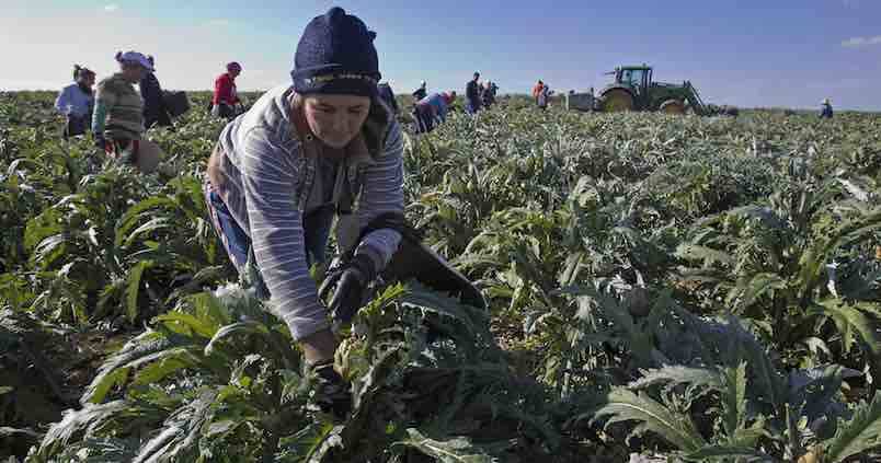 Solo una de cada tres explotaciones agrarias tiene como propietaria a una mujer
