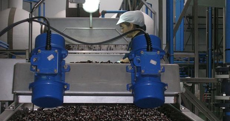 Asemesa pide sanciones para EEUU por mantener los aranceles a la aceituna negra a pesar del panel de la OMC