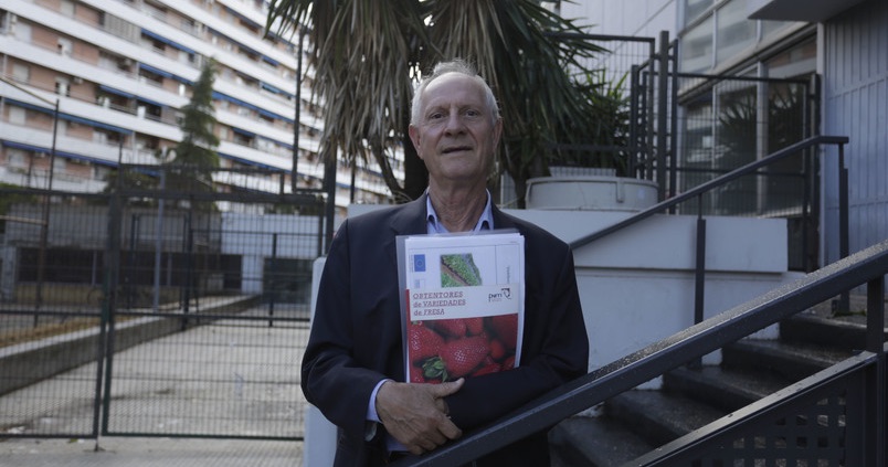 Antonio Refoyo: «Tres variedades locales de fresas lideran por primera vez el mercado en Huelva»