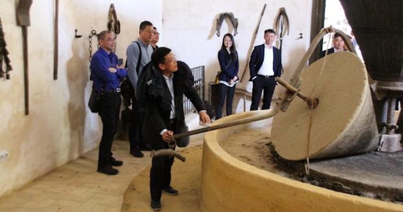 Dirigentes chinos visitan Sevilla atraídos por su aceite de oliva