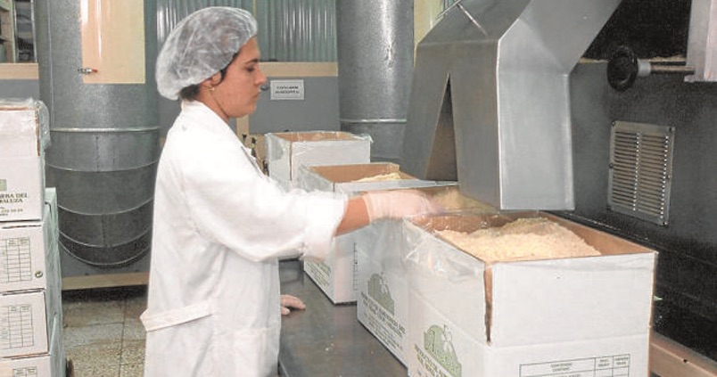 Almensur moderniza sus instalaciones para atender la mayor producción de almendra