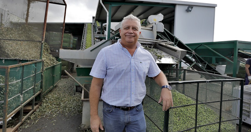 Javier Rodríguez: «Hemos roto con el mercado anclado al sabor tradicional de la aceituna»