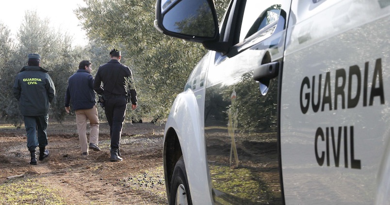 Recomiendan no dejar maquinaria o aceituna ya recogida para evitar robos en el campo