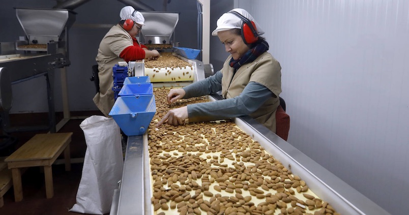 Andalucía rozará las 15.000 toneladas de almendra en la campaña 2019-20