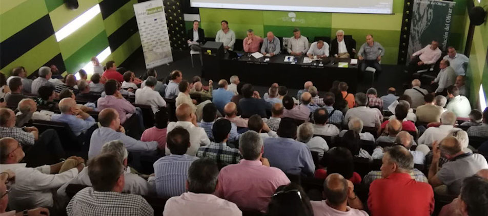 El sector oleícola visualiza su unidad antes de la gran protesta de Jaén