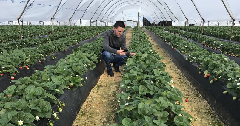 SensaCultivo, una aplicación pensada para el agricultor, no para el técnico