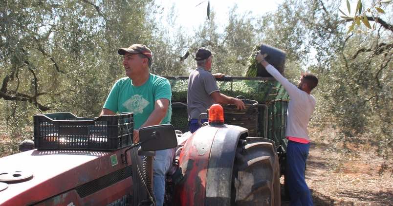 La reforma laboral traerá «más costes y menos empleo» al campo andaluz