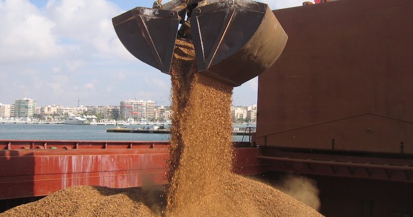 Las nuevas plantaciones disparan un 57% la cosecha de almendra