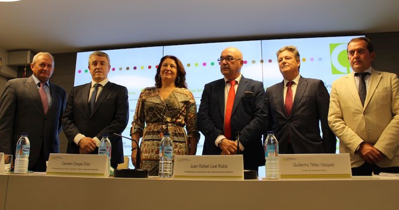 Cooperativas Agro-alimentarias de Andalucía alcanza los 9.437 millones de facturación