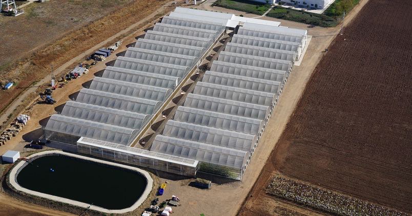 Corteva se «independiza» y coloca a Sevilla como referente agrícola