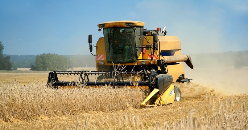 cosecha-trigo-recurso