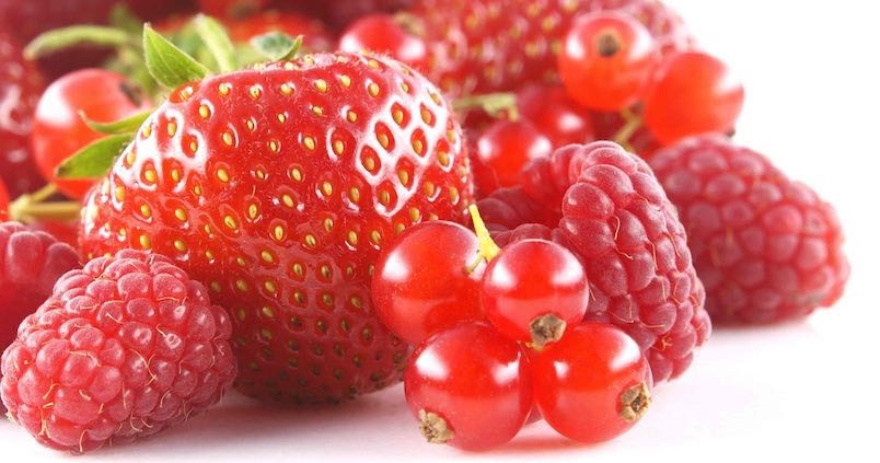 Las exportaciones agroalimentarias a Reino Unido alcanzan los 486 millones