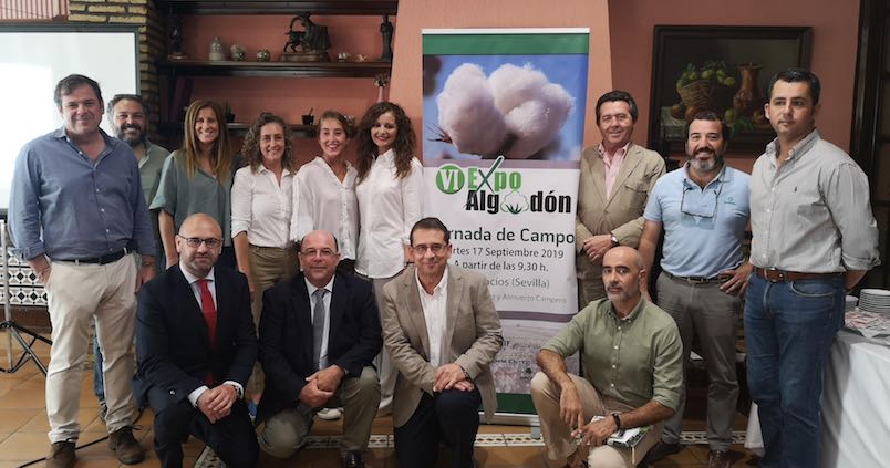 La superficie de algodón alcanza las 65.278 hectáreas a pesar de las escasas lluvias